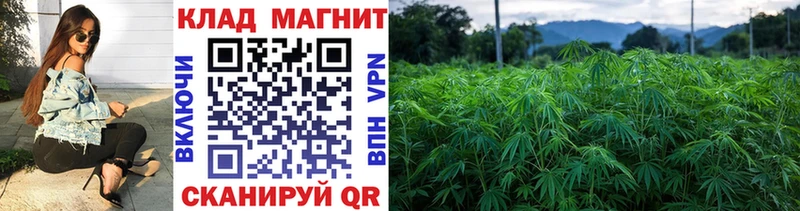 Сколько стоит Афипский Бошки Шишки  АМФ  Гашиш  Меф  COCAIN 