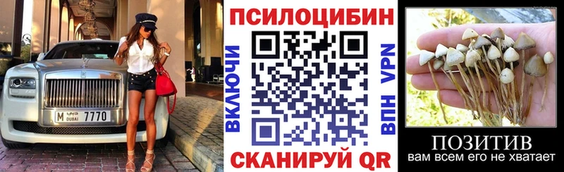 Псилоцибиновые грибы Psilocybe  Афипский 